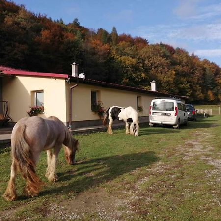 Oddychovy Pobyt Na Rodinnej Farme Matiaska Buitenkant foto