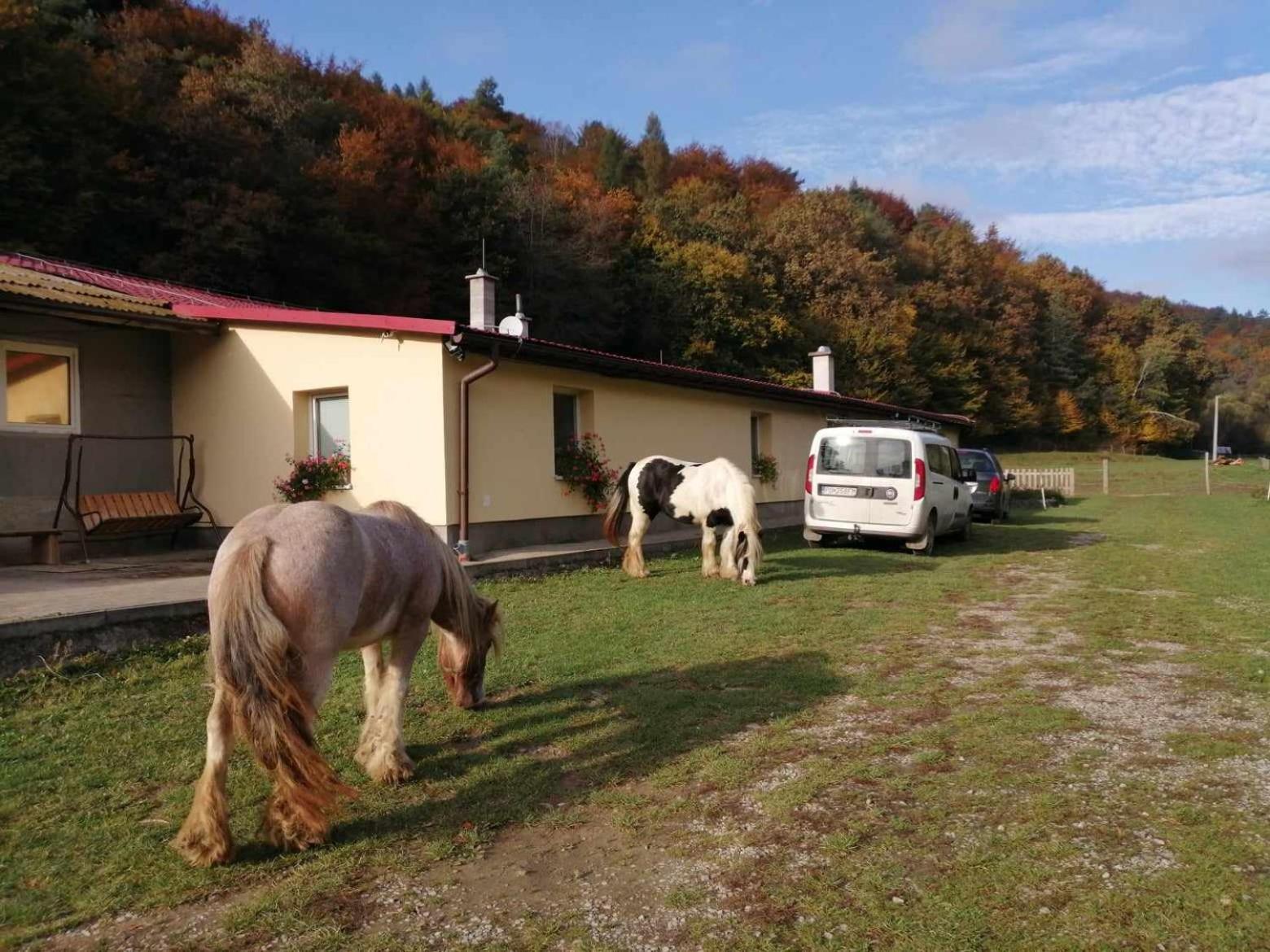 Oddychovy Pobyt Na Rodinnej Farme Matiaska Buitenkant foto