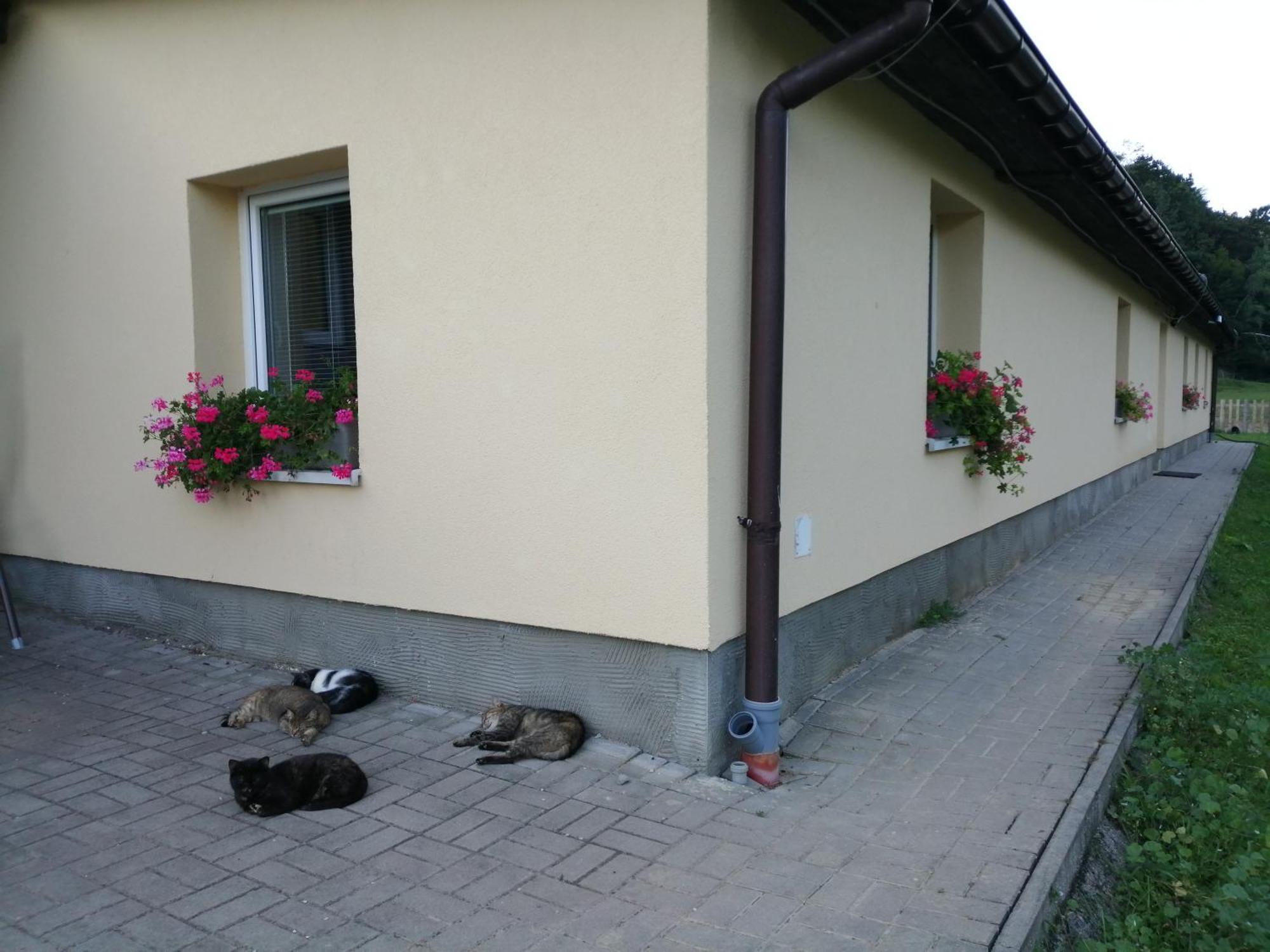 Oddychovy Pobyt Na Rodinnej Farme Matiaska Buitenkant foto